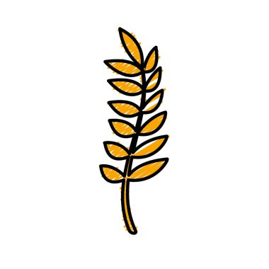 sağlıklı buğday organ bitki besleyici, vektör çizim
