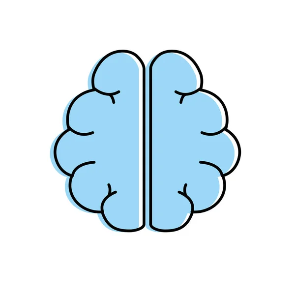 Anatomía Cerebro Imaginación Memoria Inspiración Vector Ilustración — Vector de stock