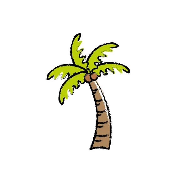 Palmera Con Coco Hojas Vector Ilustración — Archivo Imágenes Vectoriales