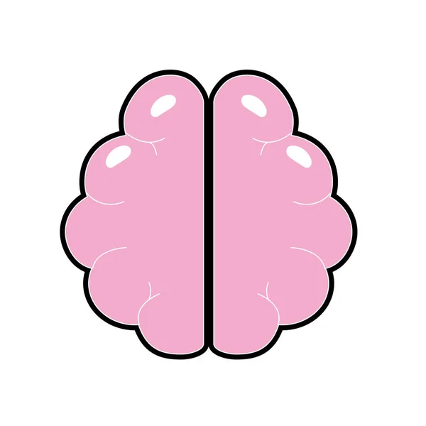 Anatomy Brain Imagination Memory Inspiration Vector Illustration — Wektor stockowy