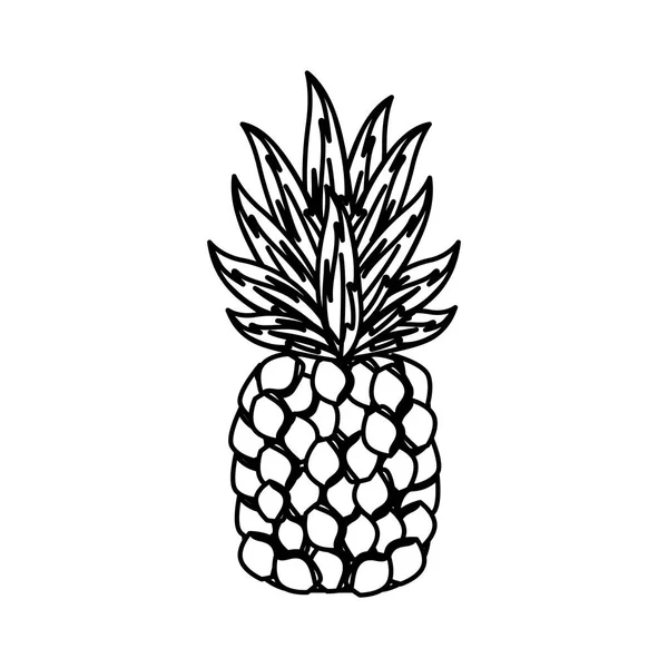 Línea Deliciosa Piña Frutas Tropicales Vector Diseño Ilustración — Vector de stock