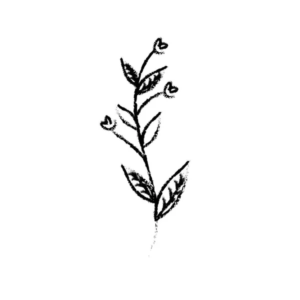 Ρουστίκ Κλαδί Φύλλα Και Λουλούδια Διανυσματικά Εικονογράφηση — Διανυσματικό Αρχείο