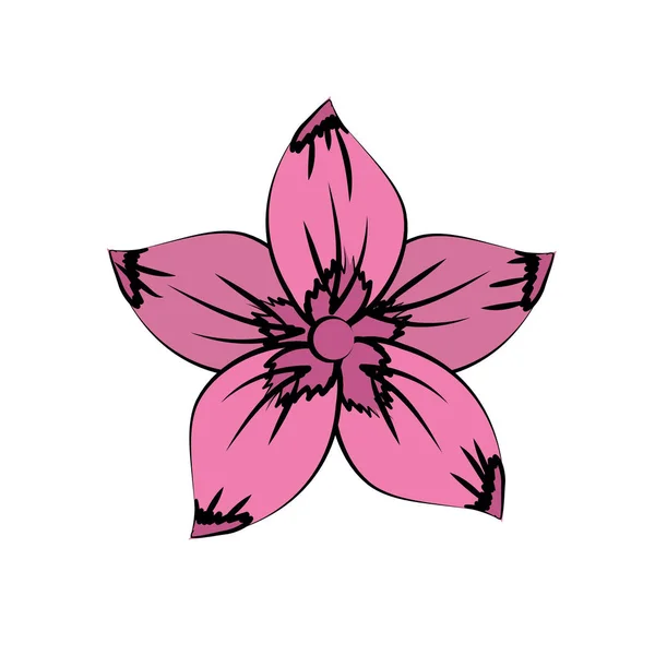 Сільська Квітка Натуральними Пелюстками Векторні Ілюстрації — стоковий вектор