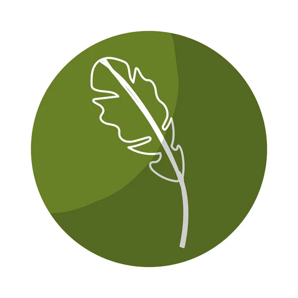 Autocollant Belle Feuille Des Plantes Exotiques Dans Forêt Illustration Vectorielle — Image vectorielle