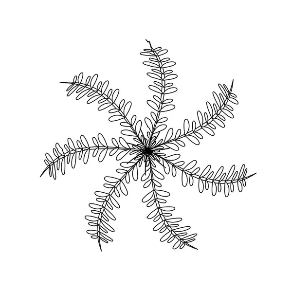 Ligne Branches Rustiques Avec Dessin Feuilles Illustration Vectorielle — Image vectorielle