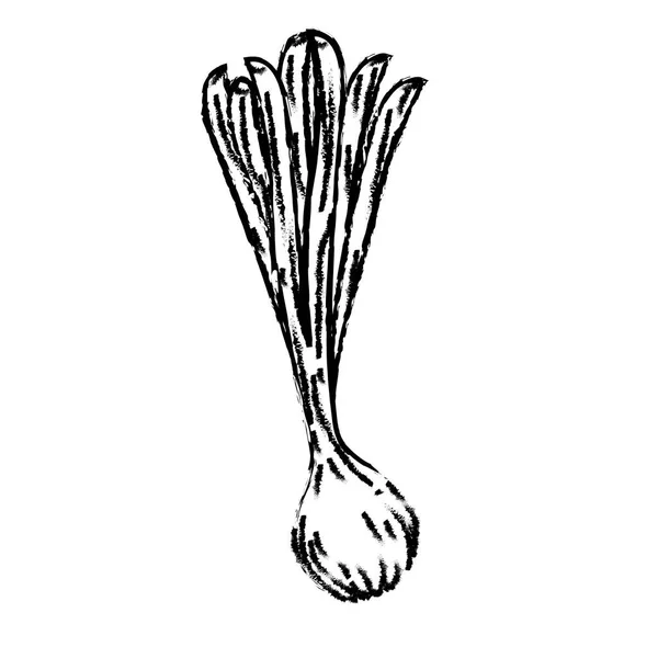 Abbildung Frisch Lange Zwiebel Pflanze Gemüse Vektor Illustration — Stockvektor