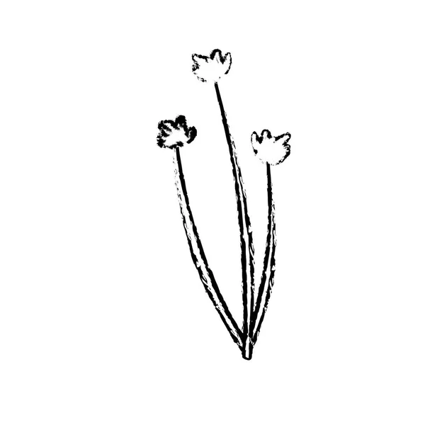 Figur Schönheit Kräuterpflanze Mit Organischen Zutaten Vektor Illustration — Stockvektor