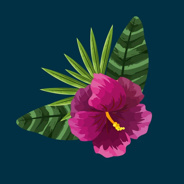 Beauty Exotic Flowers Roses Plants Vector Illustration — Stockvector