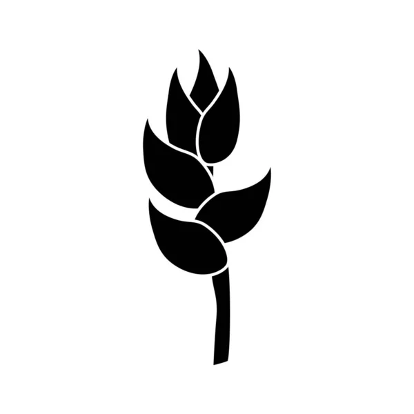 Contour Beauty Exotic Tropical Flower Branch Vector Illustration — Διανυσματικό Αρχείο