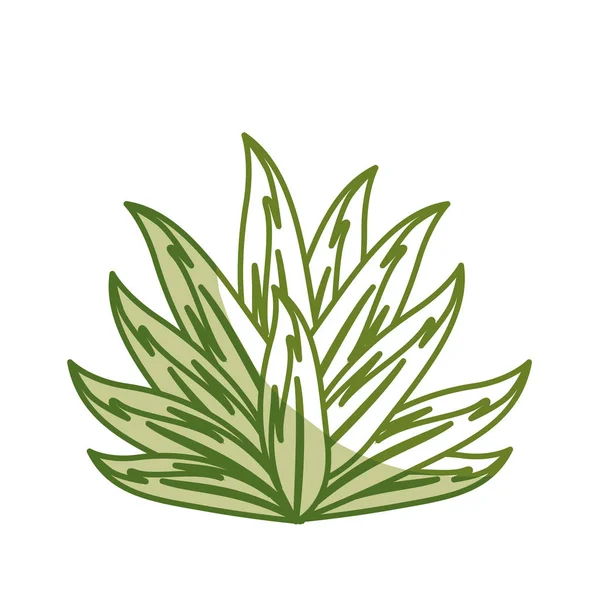 Silueta Hermosa Hoja Las Plantas Exóticas Bosque Vector Ilustración — Vector de stock