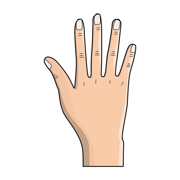 すべての素敵な手指 ベクトル イラスト — ストックベクタ