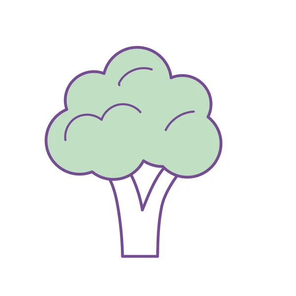 Delicious Health Broccoli Vegetable Vector Illustration — ストックベクタ