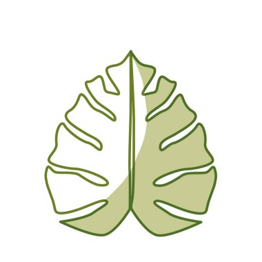 silhouette beautiful leaf of the exotic plants in the forest, vector illustration