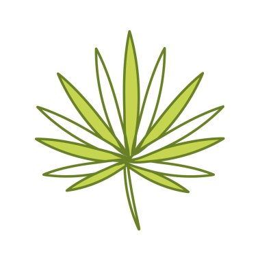 beautiful leaf of the exotic plants in the forest, vector illustration