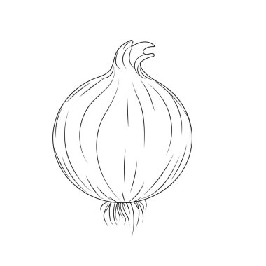 çizgi taze soğan doğal sebze beslenme vektör illüstrasyon