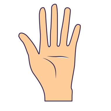 güzel el bütün parmaklar ve palm, vektör çizim ile