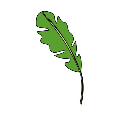 beautiful leaf of the exotic plants in the forest, vector illustration