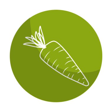 sticker fresh carrot organ vegetable food, vector illustration