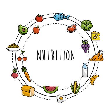 meyve ve sebze protein yiyecek vektör çizim ile