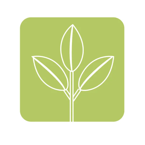 Rótulo Planta Ecologia Agradável Com Folhas Design Ilustração Vetorial — Vetor de Stock