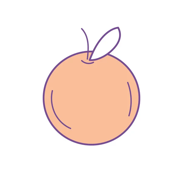 Вкусная Здоровая Векторная Иллюстрация Апельсинов — стоковый вектор