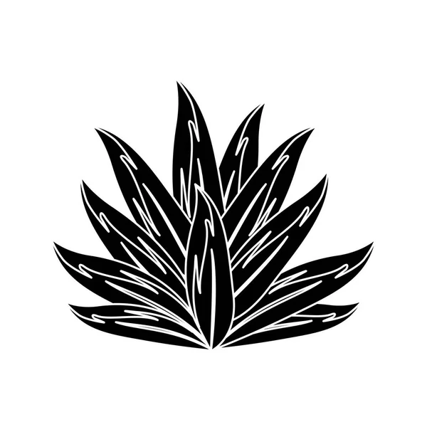 Контур Тропического Растения Листьями Ботаническом Лесу Векторная Иллюстрация — стоковый вектор