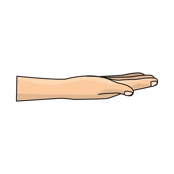 Bonita Mano Con Todos Los Dedos Uñas Ilustración Vectorial — Vector de stock