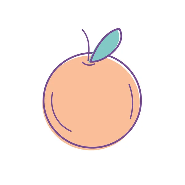 Delicious Healthy Orange Fruit Vector Illustration — Stock Vector