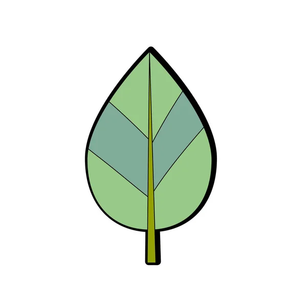 Botánica Natural Hoja Planta Tropical Vector Ilustración — Archivo Imágenes Vectoriales