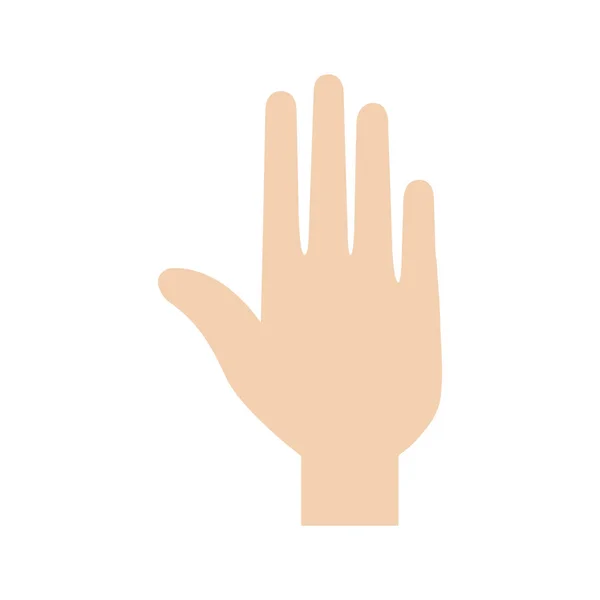 Handfläche Hand Mit Fingern Über Weißem Hintergrund Vektor Illustration — Stockvektor