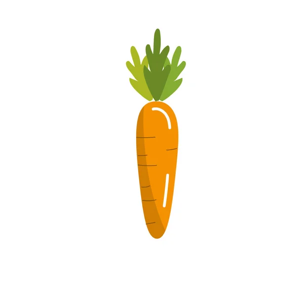 Смачний Здоровий Морквяний Овоч Векторні Ілюстрації — стоковий вектор