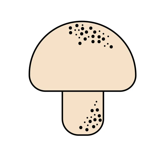 Delicious Fresh Mushroom Organ Food Vector Illustration — Stock Vector