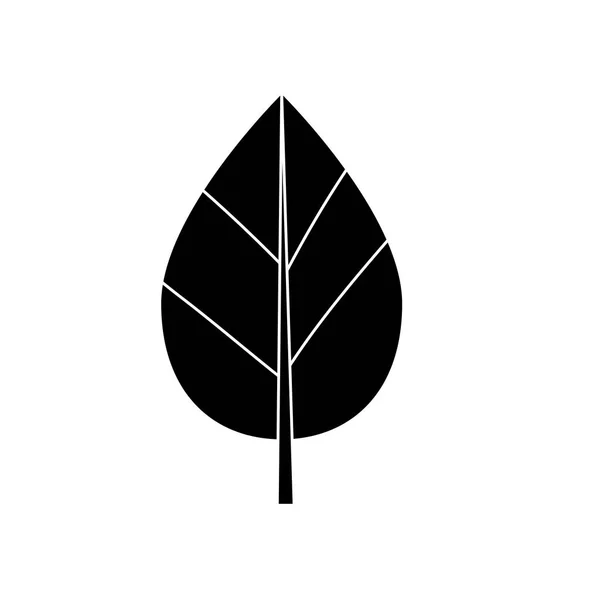 Contour Natural Leaf Botany Tropical Plant Vector Illustration — 图库矢量图片