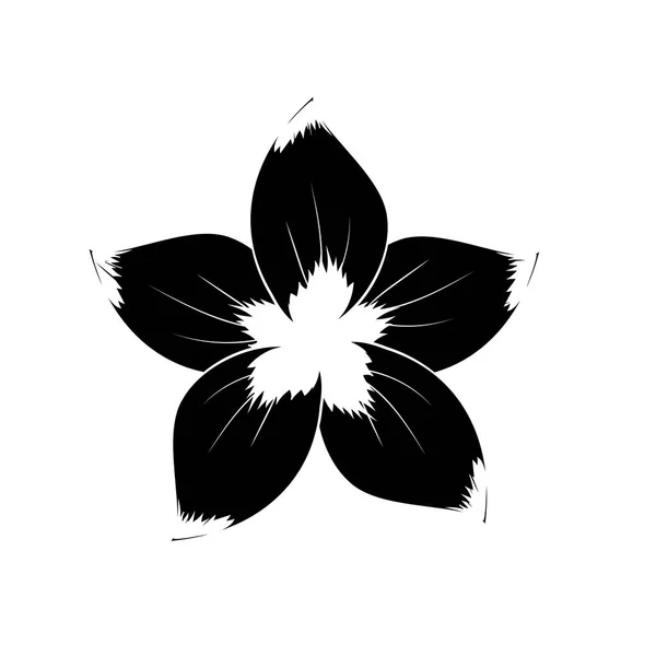 Flor Rústica Con Pétalos Naturales Vector Ilustración — Vector de stock