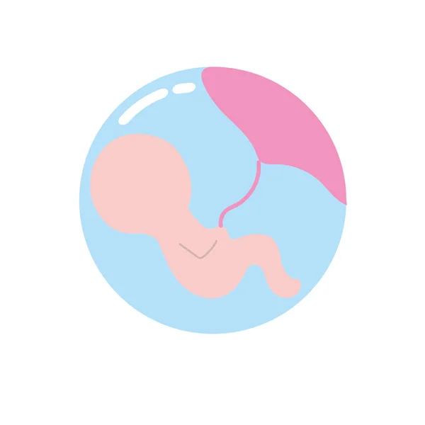 Bebé Con Cordón Umbilical Dentro Las Madres Vector Uterino Ilustración — Vector de stock