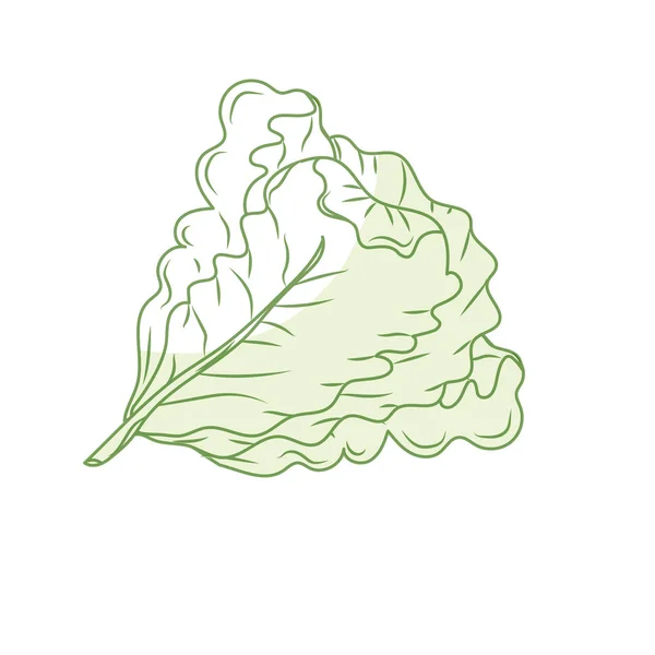 Silhouette Frischer Salat Natürliche Pflanzliche Ernährung Vektor Illustration — Stockvektor