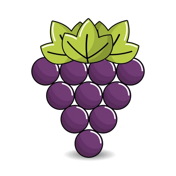 Uva Frutta Icona Immagine Vettore Illustrazione Disegno Stock — Vettoriale Stock