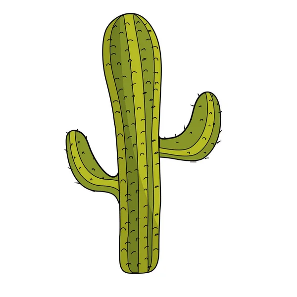 Hermosa Planta Cactus Del Desierto Vector Ilustración — Vector de stock