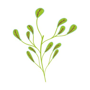 Şube kutsal kişilerin resmi, vektör çizim tasarımı ile güzel bitki