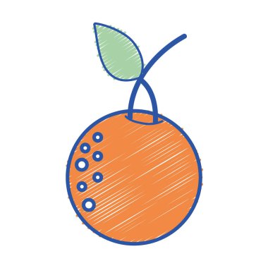 protein beslenme vektör çizim ile lezzetli turuncu meyve