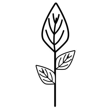 satır ekoloji bitkiler yaprakları simge vektör çizim ile