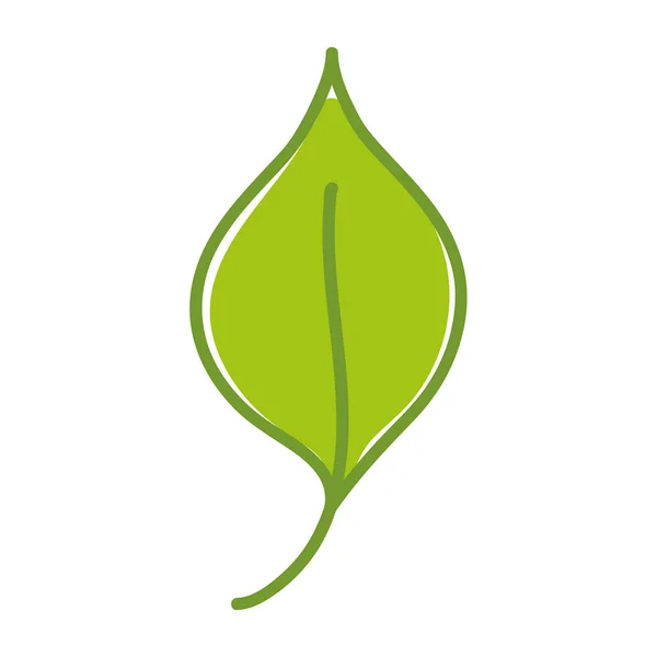 Szép Szerves Leaf Üzem Vektoros Illusztráció Design — Stock Vector