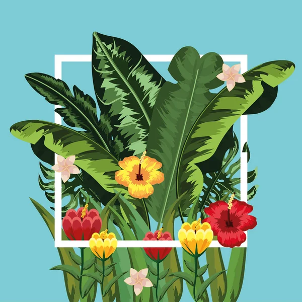 Freme Quadrado Com Flores Folhas Plantas Ilustração Vetorial — Vetor de Stock