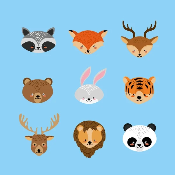 Instellen Van Schattige Dieren Natuurlijke Fauna Vectorillustratie — Stockvector