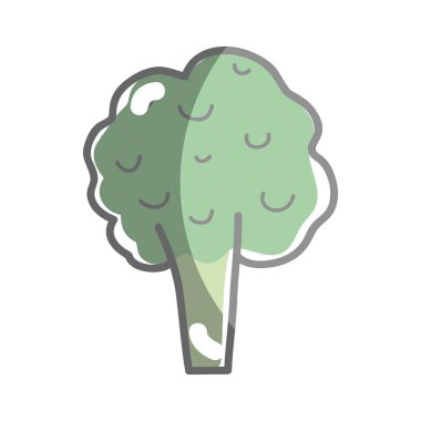 Sağlık brokoli sebze kutsal kişilerin resmi, vektör çizim tasarım