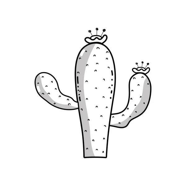 Línea Cactus Tropical Con Flores Pétalos Vector Ilustración — Vector de stock
