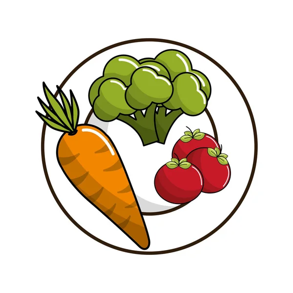 Karotten Brokkoli Und Tomaten Teller Vektorillustration — Stockvektor