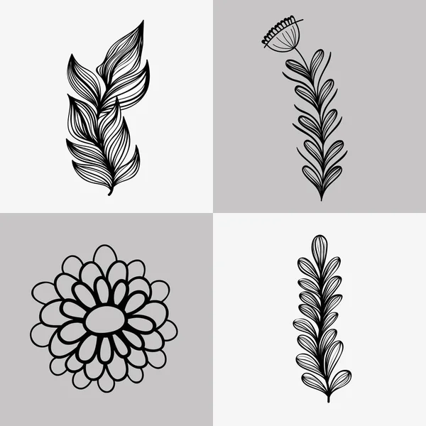 Ensemble Branches Avec Feuilles Fleurs Avec Pétales Illustration Vectorielle — Image vectorielle