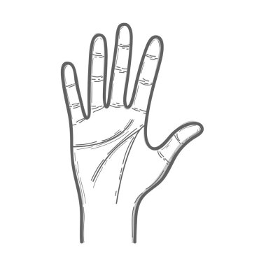 güzel el bütün parmaklar ve palm, vektör çizim ile