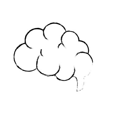 şekil yan beyin insan anatomisi organ zekası vektör çizim